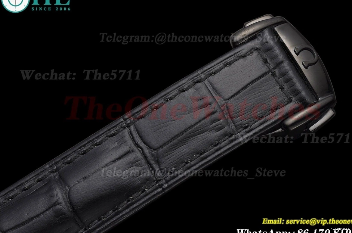 PVD Gradient Seamaster Blue Dial GDF 41mm MY8215 LE 0311